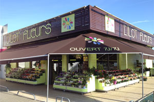 L ILE AUX FLEURS