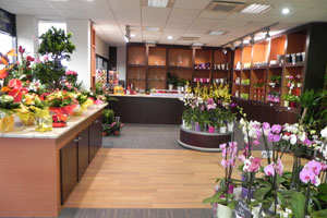 MARCHE AUX FLEURS