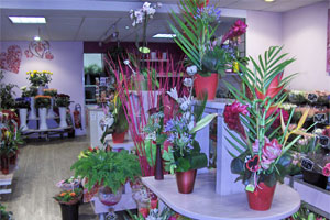 AU PUY FLEURI