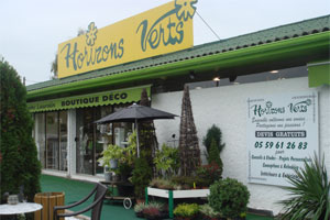 HORIZONS VERTS