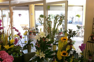 LE BOUQUET BEARNAIS