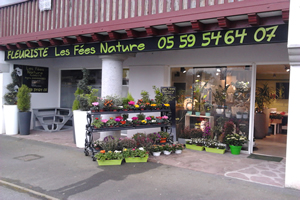 LES FEES NATURE