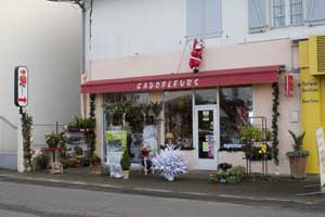 CADOFLEURS