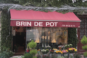 BRIN DE POT