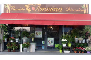AMOENA