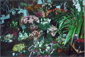 AUX FLEURS D ANAIS