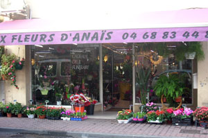 AUX FLEURS D ANAIS