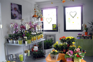 FLEURS MULLER