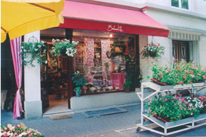 BRINDILLE