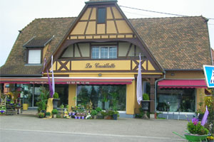 LA CUEILLETTE