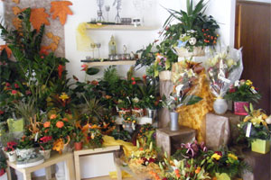 AU JARDIN D EDEN
