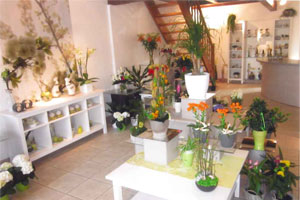 HISTOIRE DE FLEURS