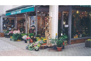 BLUMSTEIN FLEURS