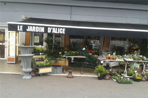 LE JARDIN D ALICE