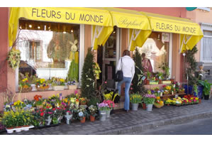 FLEURS DU MONDE