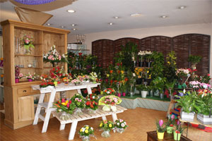 M LES FLEURS