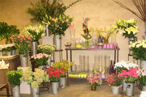 CLESA FLEURS ET JARDINS