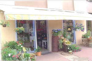 L ASPI DISTRA