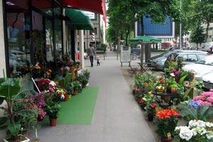 VERTIGE FLEURS