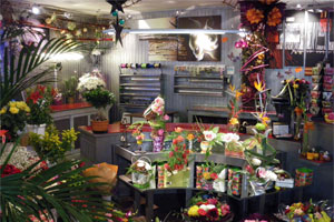 COL CHIC FLEURS