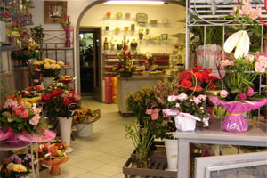 EURL AU CAMELIA