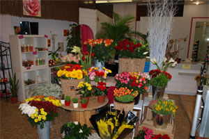 FLORAMANDE