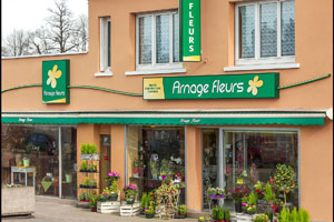 ARNAGE-FLEURS