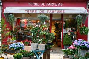 TERRE DE PARFUMS