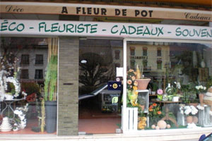 A FLEUR DE POT