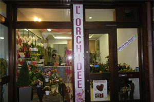L ORCHIDEE