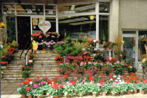 FLEURS LA JARDINIERE