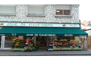 JOUR DE FLEURAISON