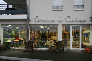 GRAINES DE CURIEUX