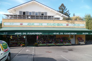 JOUR DE FLEURAISON
