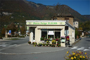 PERCE NEIGE