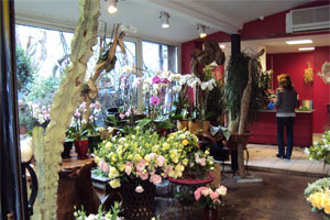 JARDIN SUISSE