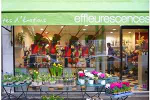EFFLEURESCENCES