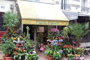 POINT FLEURS