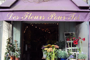 DES FLEURS POUR SOI