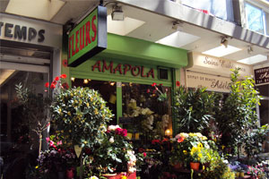 AMAPOLA FLEURISTE