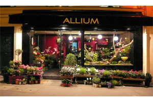 ALLIUM