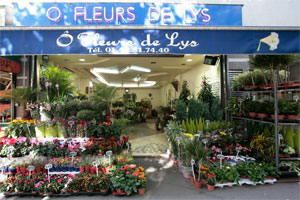 O FLEURS DE LYS