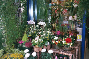 GOLI FLEURS COM