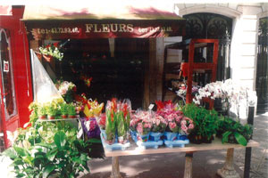 BOUET FLEURS