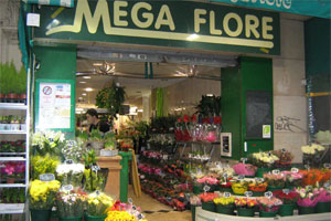 MEGAFLORE