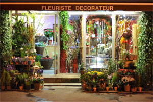 APADANA FLEURS 