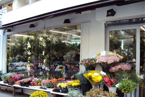A ALEXANDRE FLEURS      