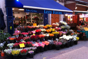 LEVIS FLEURS