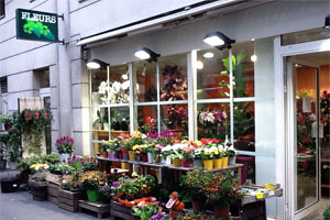 FLEURS VOUILLE 39