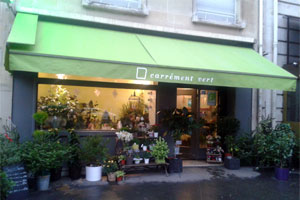 CARREMENT VERT 